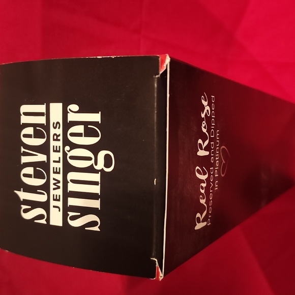 Steven Singer Real Pink Rose Preserved and Dipped in Platinum - Picture 9 of 14